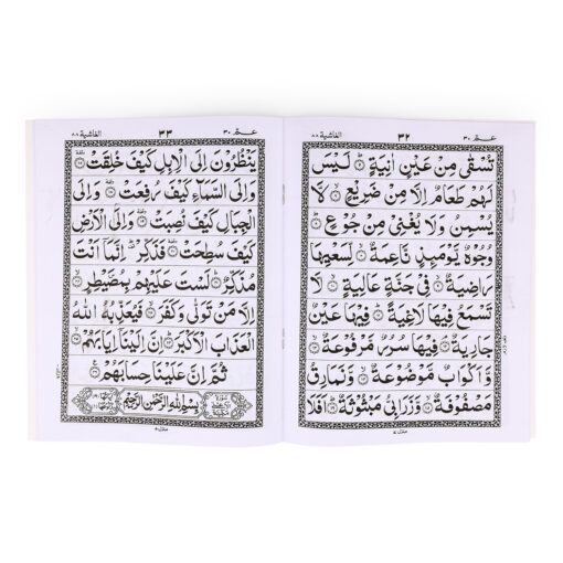 PARA AMMA (9 LINES) BIG 1CLR (PB) - Image 3