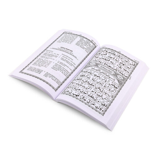 16 SURAHS (ENG/ROM/ARB) (PB) MEDIUM SIZE - Image 4