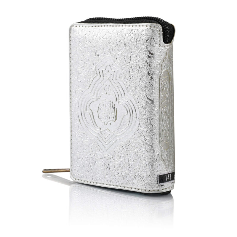 SILVER PURSE