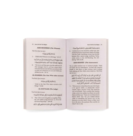 HOW TO FIND THE TRUE RELIGION (PB) - Image 2