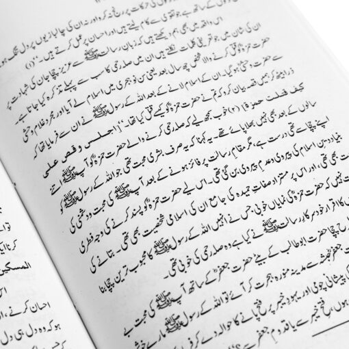 RAMZAN KE ROZE HIKMATEN AUR ADAAB -URDU (PB) - Image 2