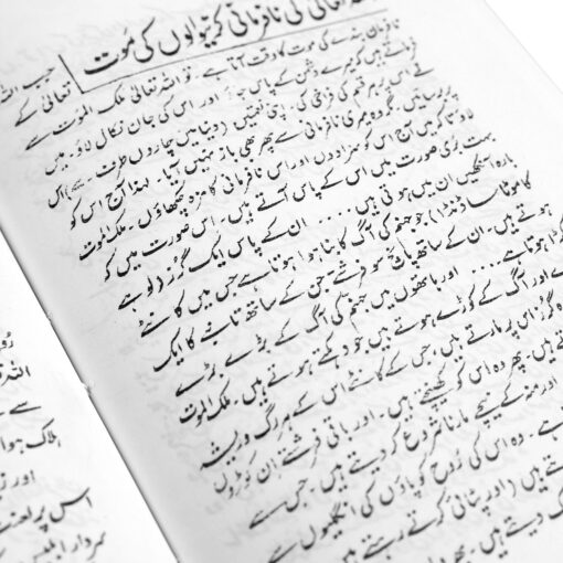 QABAR KI PEHLI RAAT (URDU) PB - Image 2