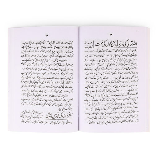 QABAR KI PEHLI RAAT (URDU) PB - Image 3
