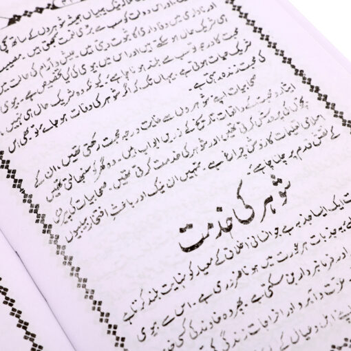 MUSALMAN BIWI (URDU) PB - Image 2