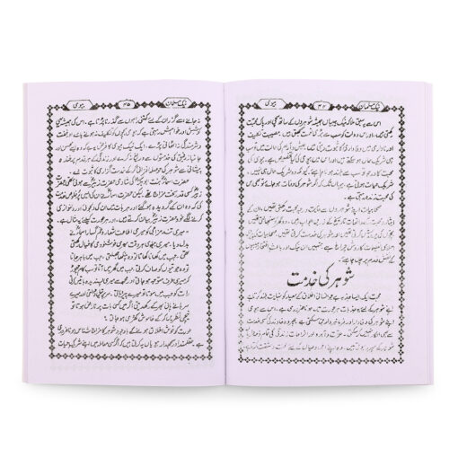 MUSALMAN BIWI (URDU) PB - Image 3