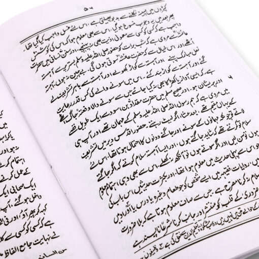 ADAB E ZINDAGI (URDU) PB - Image 2