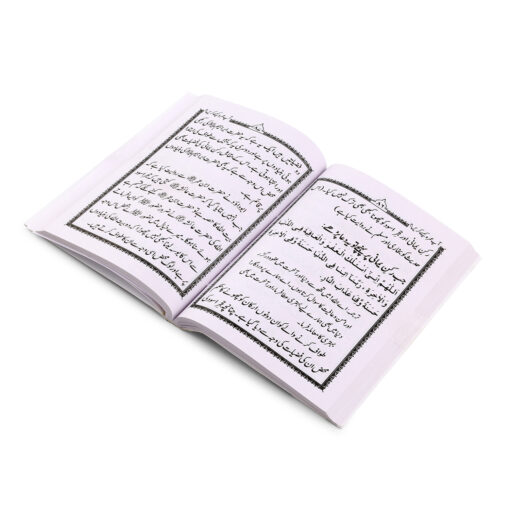 AAP UMRAH KAISE KAREN?(PKT).(URDU) PB - Image 4