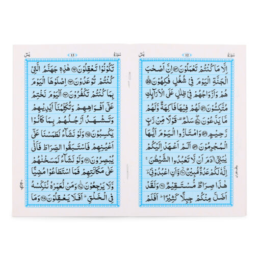 SURAH YASEEN REF NO. 99 MULK & AYTAL KURSI A.P 2CLR PB MEDIUM SIZE - Image 3