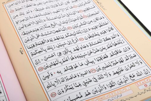 HOLY QURAN NO. 126 WAQF CC HB - Image 10