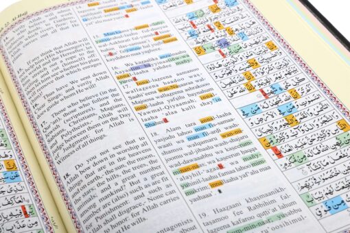 Holy Quran Roman CC (A/E/R) HB - Image 9