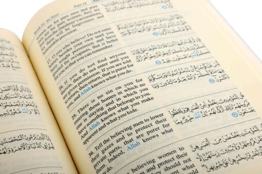 THE NOBLE QURAN (RIYADHUL QURAN-ENGLISH/ARABIC) - Image 2