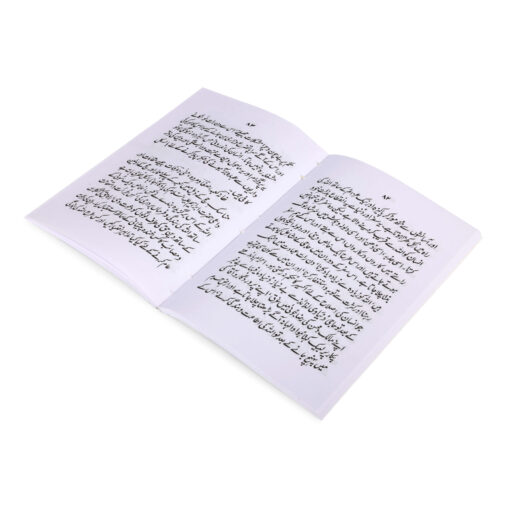 HAJJ AUR UMRAH (URDU) PB MEDIUM SIZE - Image 4