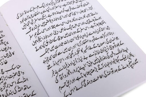 HAJJ AUR UMRAH (URDU) PB MEDIUM SIZE - Image 2