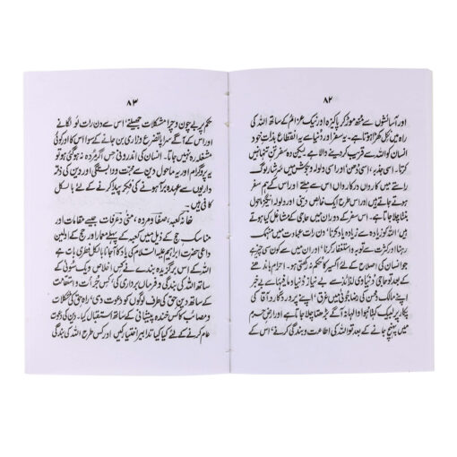 HAJJ AUR UMRAH (URDU) PB MEDIUM SIZE - Image 3