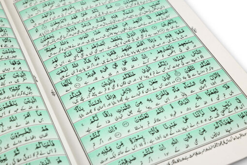 RIYAZUL QURAN PARA SET NO.123 (LWC) HAFIZI TARJUMA PB - Image 2