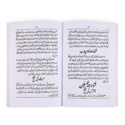HAZRAT UMAR FAROOQUE (URDU) PB - Image 2