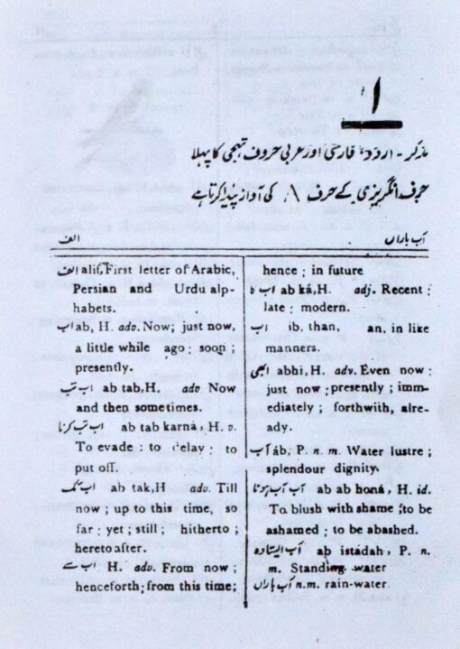 NEW GEM 21ST CENTURY DICT.(URDU TO ENG) PKT HB - Image 2