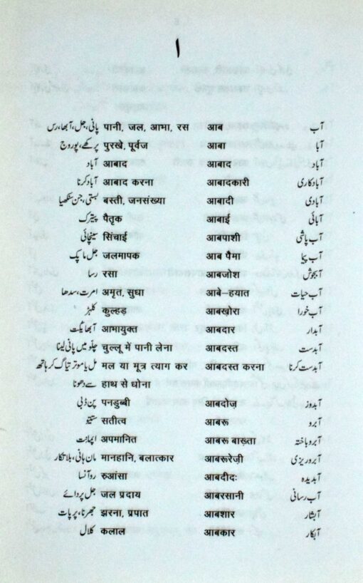 URDU HINDI DICTIONARY (AALIA) HB - Image 2