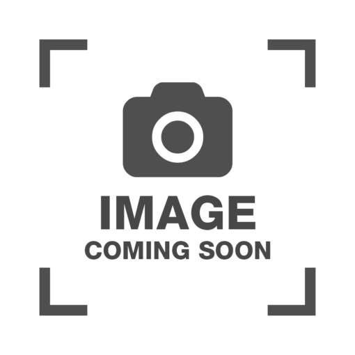 ADVANCED 21ST CENTURY DICTIONARY (E/E/U) HB BIG SIZE